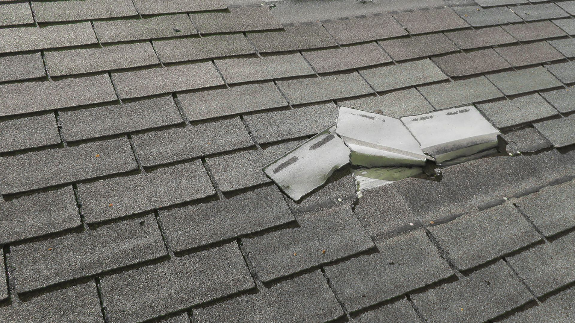 Cracked asphalt shingle on a Fort Worth roof showing torn shingle exposing the fiberglass mat