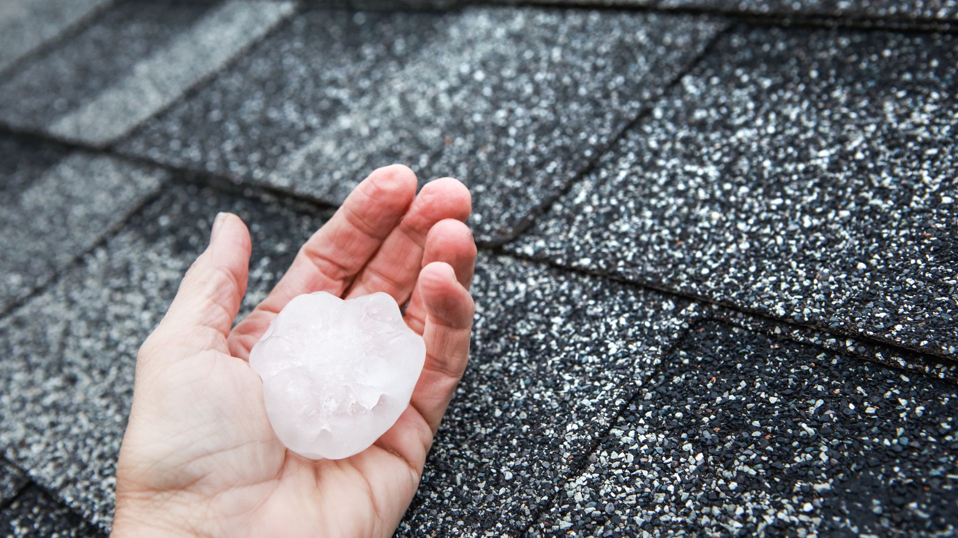 Golf-ball sized hailstone held above an asphalt shingle roof in Fort Worth, TX