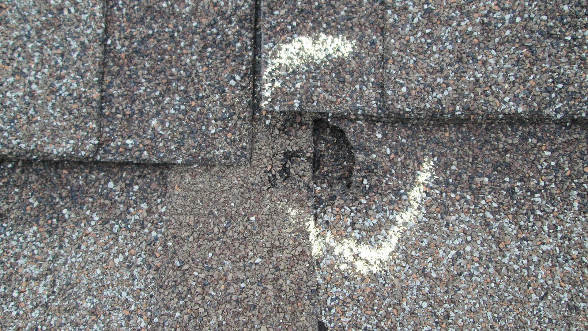 Close-up of a hail impact bruise on an asphalt shingle, circled in white chalk for an insurance adjuster